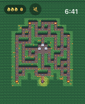 Apple Watch: the whole maze from above