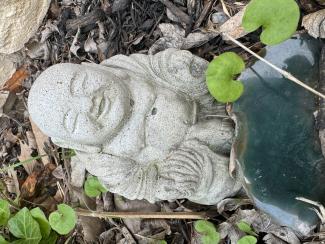 A stone Buddha statue sits amidst a bed of mulch, leaves, and greenery, cradling a clear, calm pool of water in its lap. Circular green leaves of a plant float on the surface, adding a touch of life to the serene tableau. The setting embodies a tranquil coexistence of man-made art and the natural environment, offering a space for reflection and ecological balance.