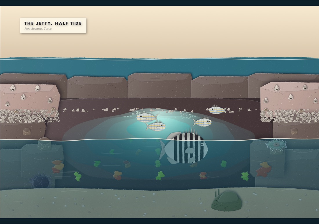 The first Tide Pool jetty on a device. The fish still look like they are wearing tartan.