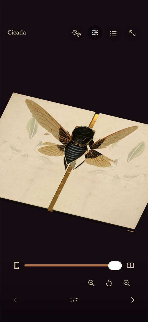 Cykada złożona na nowo z jednej ryciny: Edward Donovan, Insects of China (1838), tablica 15, na wyklejce Merian.